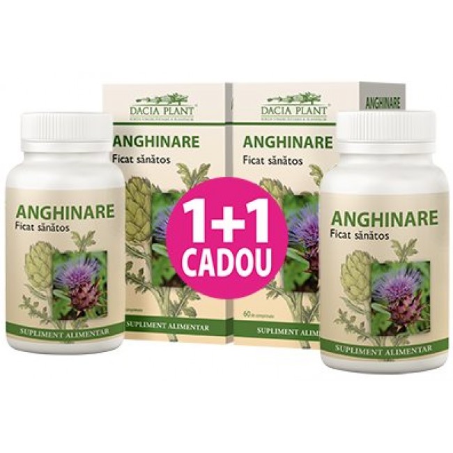 PLANT ANGHINARE 60+60